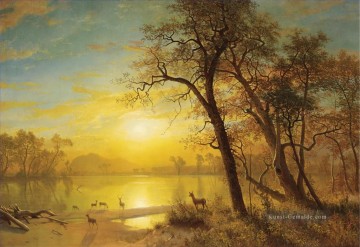 Albert Bierstadt Werke - Mountain Lake American Albert Bierstadt